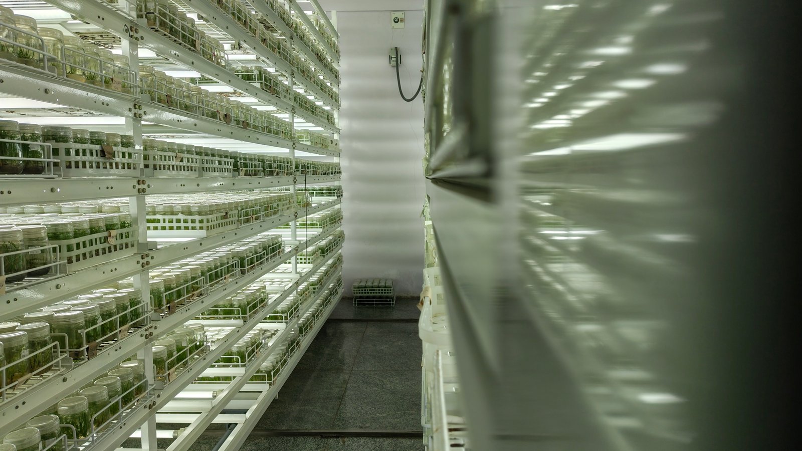 Laboratory facility